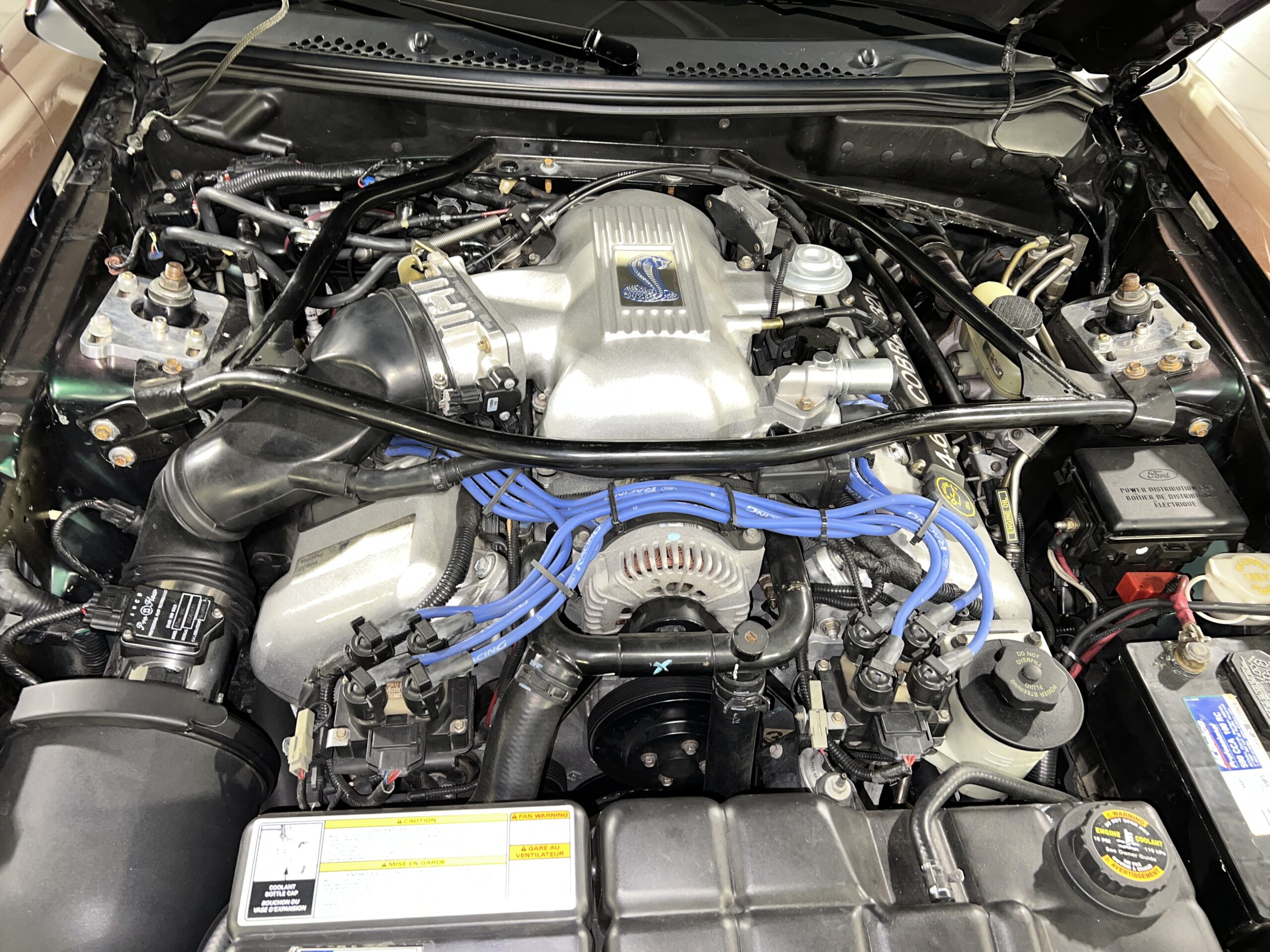 Photo 2023-12-09, 1 46 36 PM